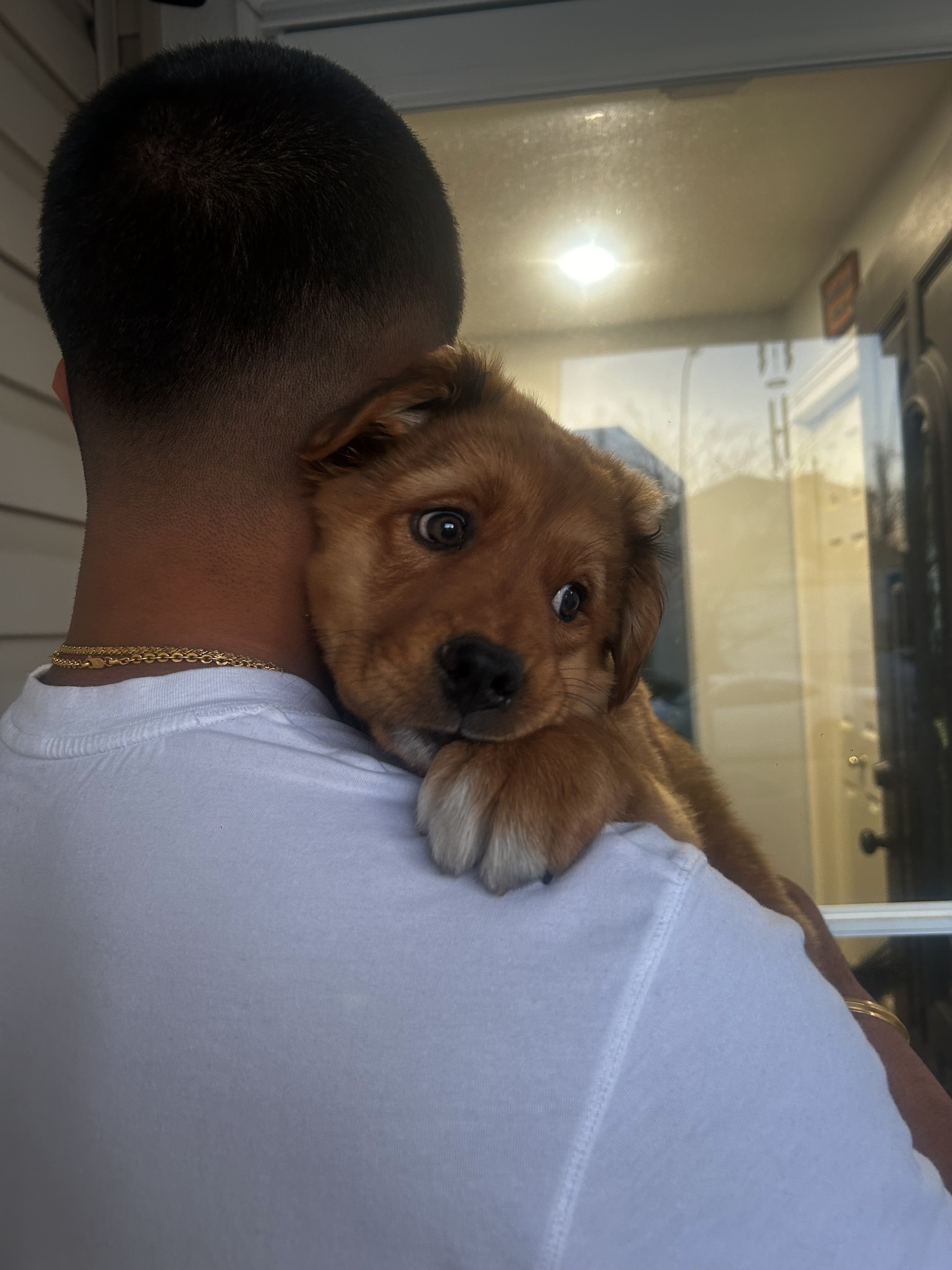 Harjas Dulku holding his puppy